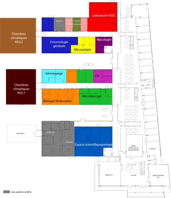 plan général du RDC v4 - espaces scientifiques pour site internet